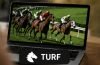 Logo turf